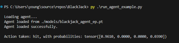 Agent Playing Example